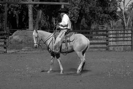 A Profile of Brook Briddle and Powder River Hat Company – Eclectic Horseman