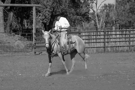 A Profile of Brook Briddle and Powder River Hat Company – Eclectic Horseman