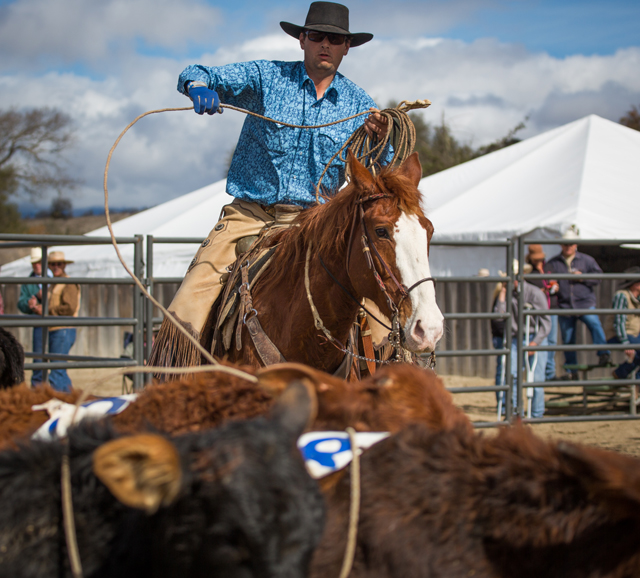 Buck Brannaman Pro-Am Vaquero Roping 2014 Follow-Up – Eclectic Horseman