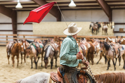 buck brannaman wyoming colt sheridan starting come colts flagging poyo nicole