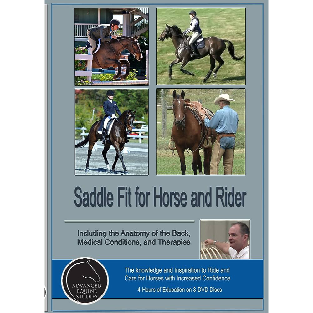 Advanced Equine Studies Saddle Fit for Horse and Rider – Streaming