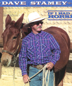 If I Had A Horse by Dave Stamey