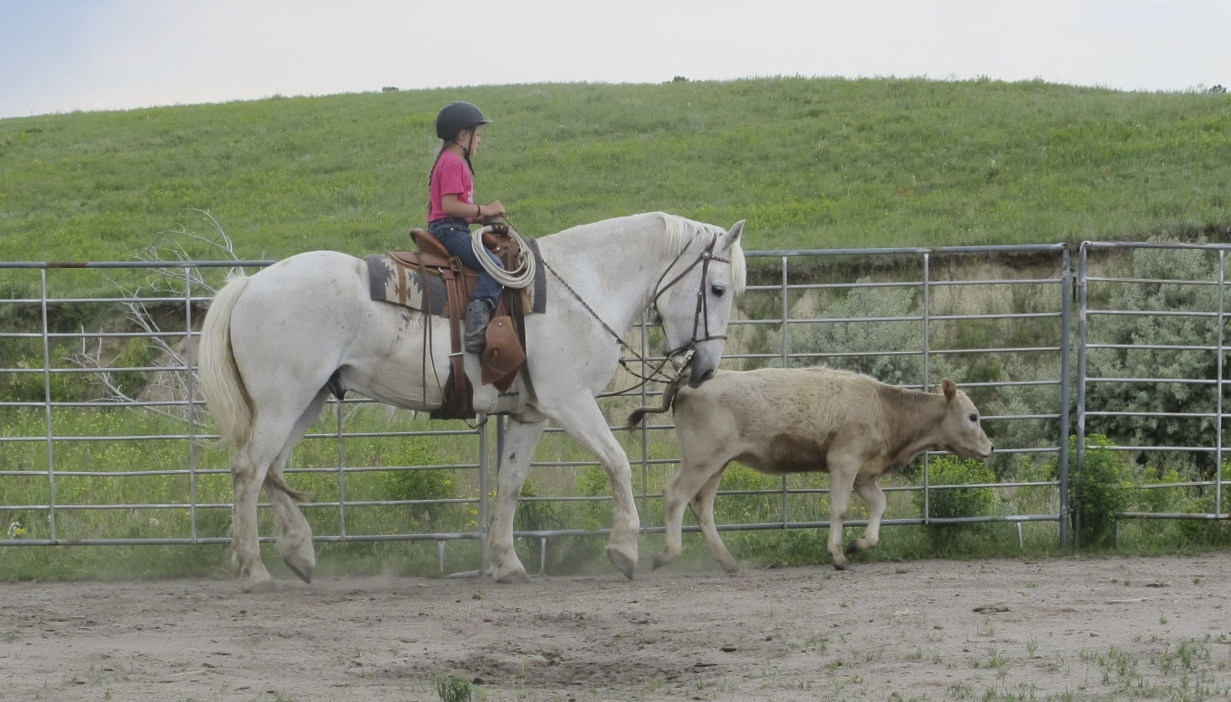 A Profile of Brook Briddle and Powder River Hat Company – Eclectic Horseman