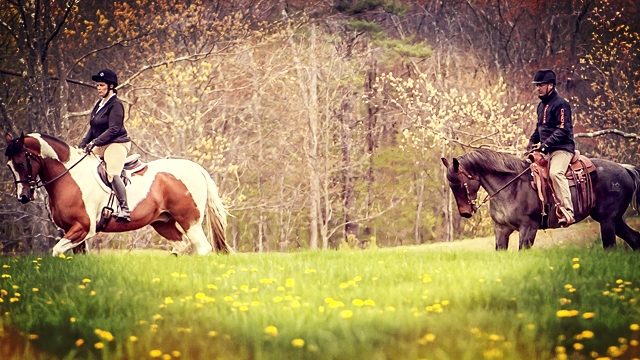 summerridingphotos