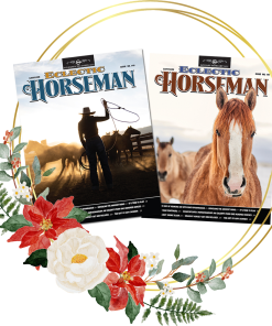 Buy One Get One Free - Gift Subscriptions