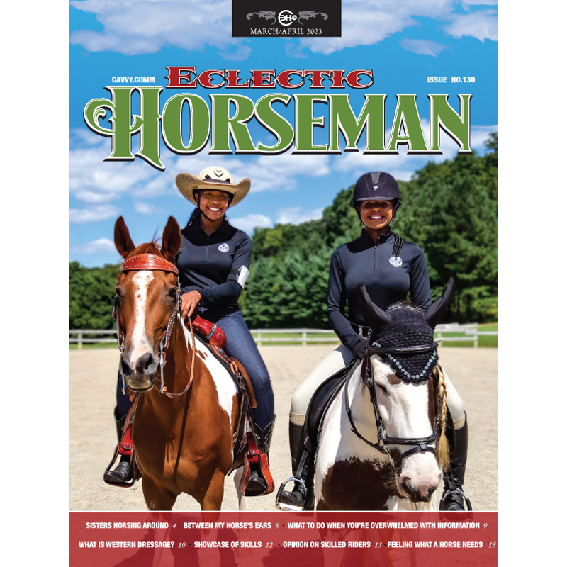 Catch 'Em – Eclectic Horseman