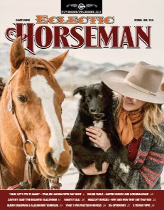 The Eclectic Horseman