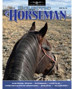 The Eclectic Horseman