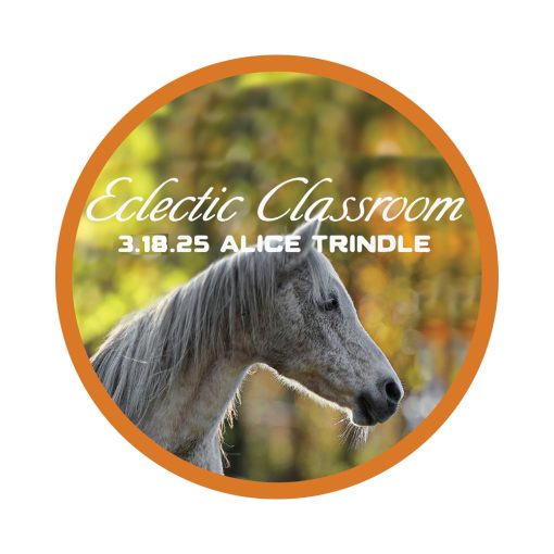 3.18.25 Eclectic Classroom - An Evening Around the Kitchen Table with Alice Trindle