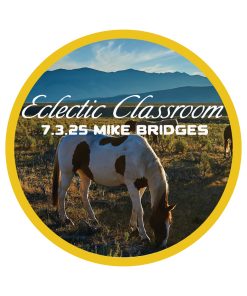 7.3.25 Eclectic Classroom: An Evening with Mike Bridges