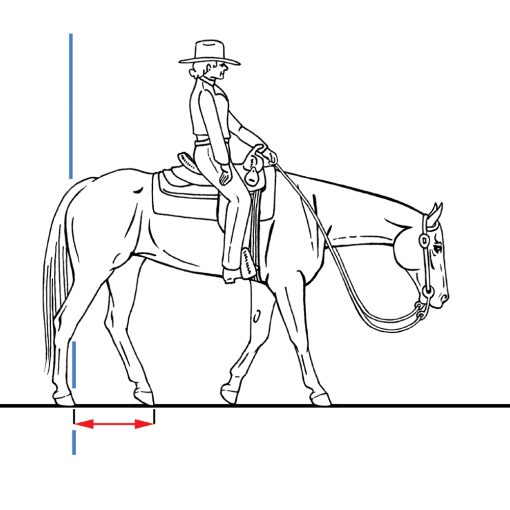 Eclectic Horseman Issue No.144 - Image 2
