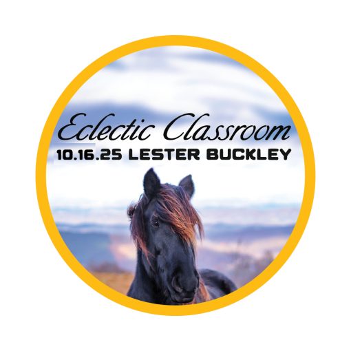 Eclectic Classroom: Learning From Each Other with Lester Buckley