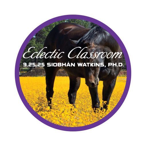 Eclectic Classroom: A Field Guide to Colic with Siobhán Watkins, Ph.D.