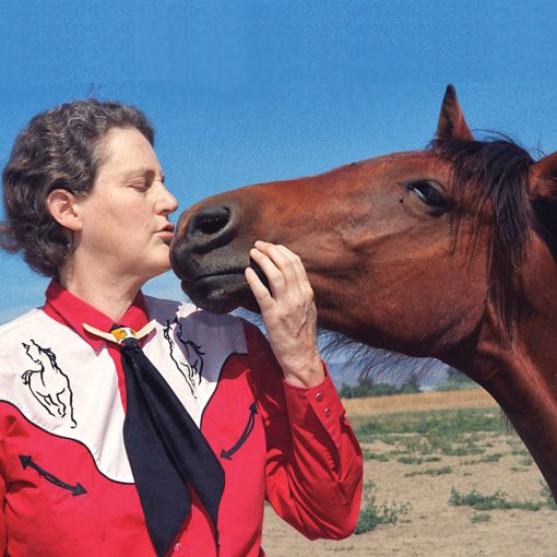 Eclectic Horseman Issue No.144 - Image 3