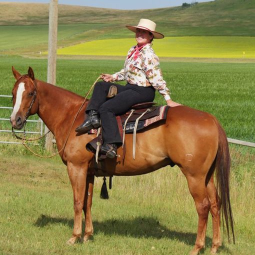 Eclectic Horseman Issue No.144 - Image 4