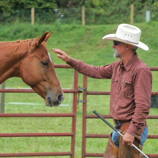 Eclectic Horseman Issue No.144 - Image 8