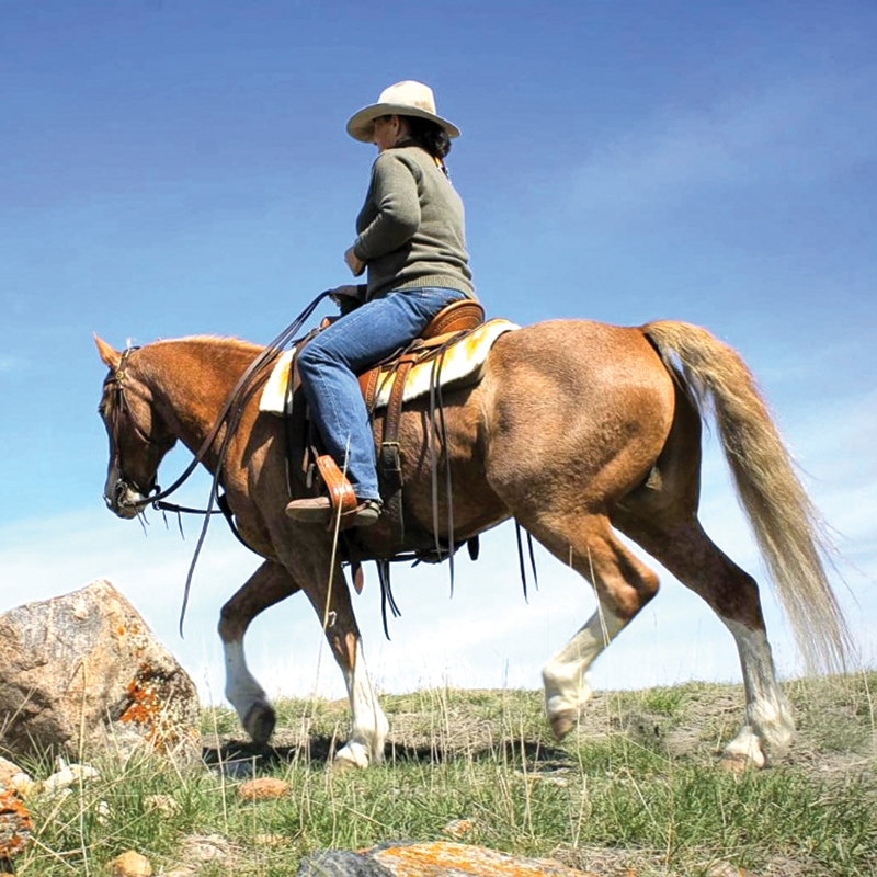 EH Issue No.145 - Image 10