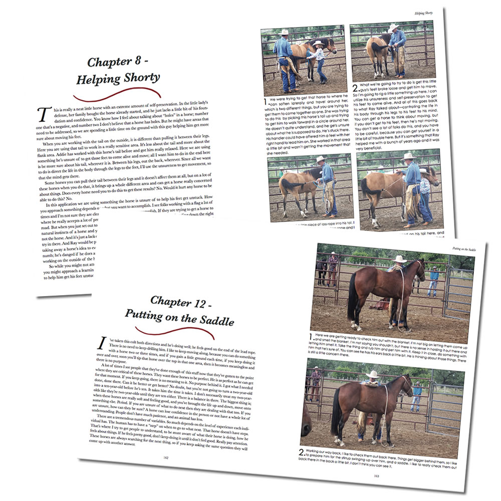 Feeling What A Horse Needs By Tom Curtin - Image 4