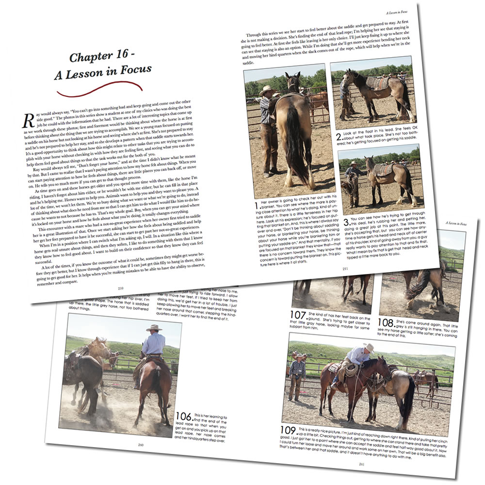 Feeling What A Horse Needs By Tom Curtin - Image 3